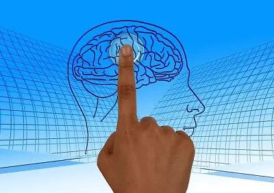 Finger pointing to a spot in a brain, for training