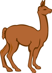 brown llama