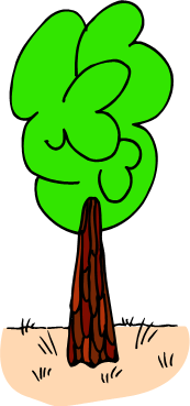 big green tree