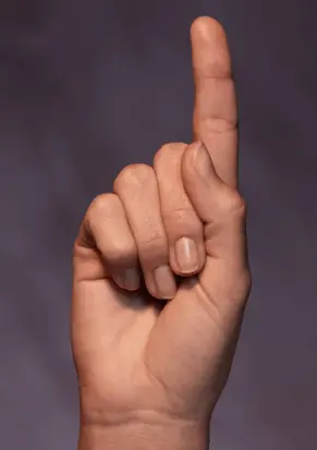 a raised finger