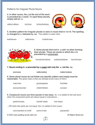 irregular plural nouns page 2