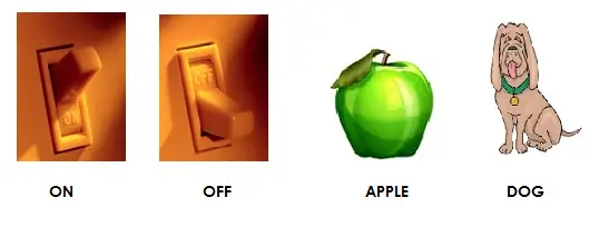 Sight Words and Images for ON, OFF, APPLE and DOG