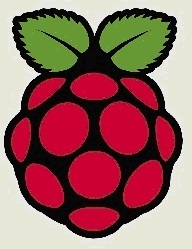 raspberry