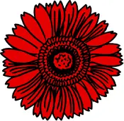 red chrysanthemum 175px opt