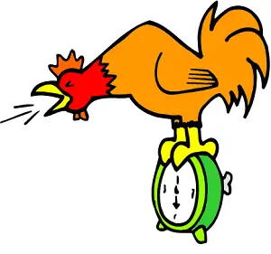 rooster on alarm clock